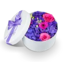 Box fialových květin